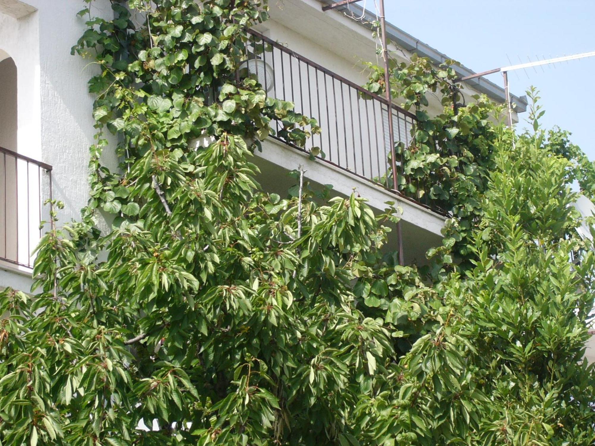 Apartments Prizmic Podstrana Exterior foto